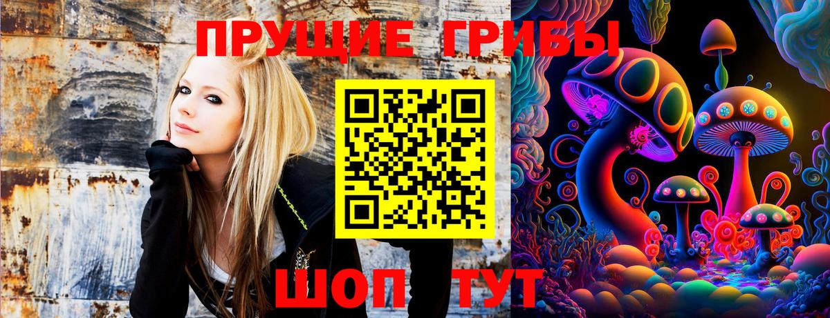 Галлюциногенные грибы Cubensis Чита